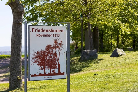 Friedenslinden hill November 1813 with signpost, between Schmorsdorf and Maxen, Müglitztal, Saxony,