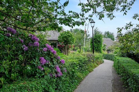 Idyllic garden path surrounded by flowering shrubs and rich vegetation, Giethoorn, municipality of