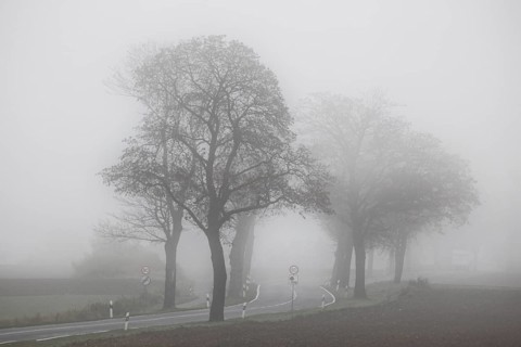 Dense fog on a country road overgrown with trees, Neugarten, Brandenburg, 06.11.2024., Neugarten,