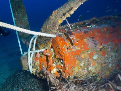 Close-up of an aircraft wreck from the Second World War under water, dive site aircraft wreck