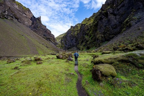Hiking trail through a green moss-covered gorge, enchanted volcanic landscape, Pakgil, Iceland,