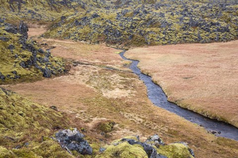 Landscape north of Arnarstapi, Vesturland, West Iceland, lava rocks, moss, Snæfellsjökull,