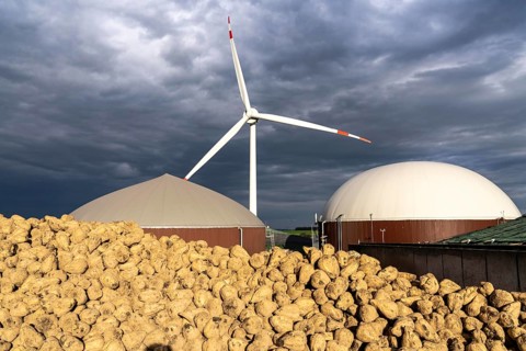 Biogas plant produces gas from various biomass, here the sugar beet storage, the electricity is