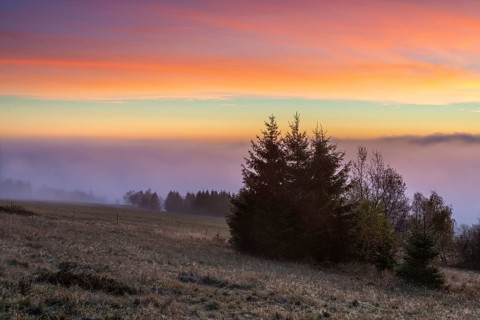 Sunrise with intense morning red on Rauhhügel, spruces on mountain meadow, morning mist in the