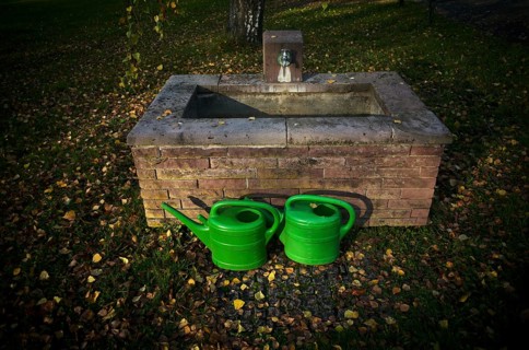 Watering cans, green, in front of fountain, main cemetery, autumn leaves lying on the ground,