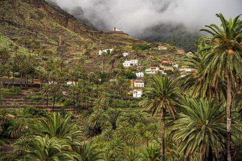 Cultural landscape with palm trees in Valle Gran Rey, La Gomera, Canary Islands, Spain, Europe