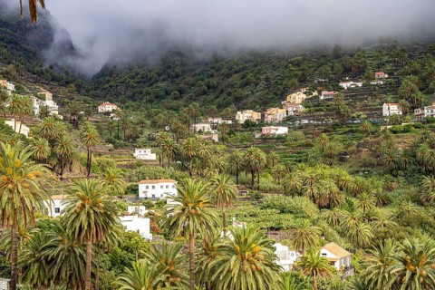 Cultural landscape with palm trees in Valle Gran Rey, La Gomera, Canary Islands, Spain, Europe