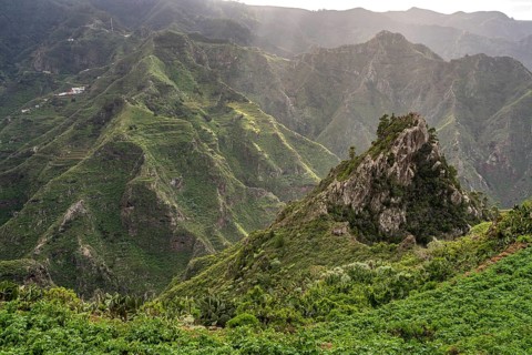 Landscape along the hiking trail from Punta del Hidalgo to Chinamada, Tenerife, Canary Islands,