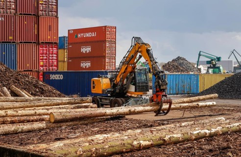 Cologne, North Rhine-Westphalia, Germany - Port of Cologne Niehl, logs are loaded into containers