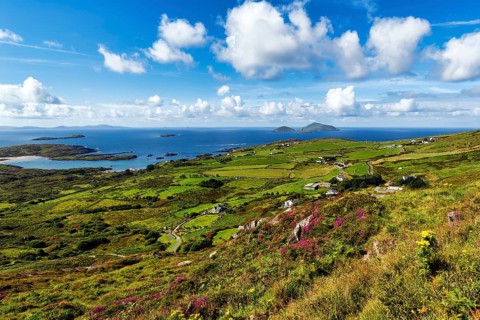 Typical coastline, blooming heather, Scariff and Deenish Islands on the horizon, spring clouds,