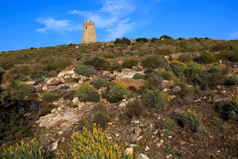 Torre Vigia de los Lobos watchtower, Rodalquilar, Cabo de Gata natural park, Almeria, Spain, Europe