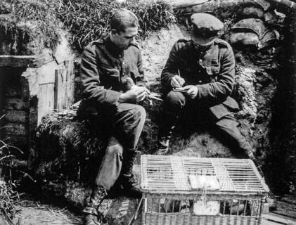 Officer writing message for carrier pigeon used by the British WWI signal company for communication