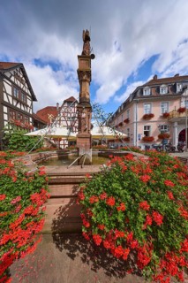 Market fountain with geraniums on the market square in Michelstadt, Odenwald, Odenwaldkreis, Hesse,