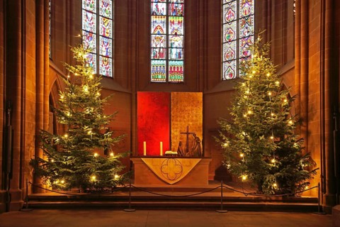Chancel with two Christmas trees, altar, Christmas decorations, Christmas time, interior view,