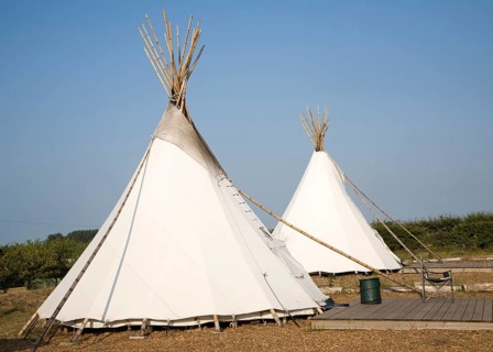 Campsite Indian tepees at Deepdale Camping, Burnham Deepdale, Norfolk, England, United Kingdom,