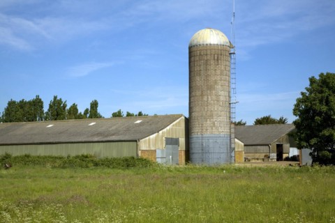 Tower silos grass storage silo in farm yard, Wickham Market, Suffolk, England, United Kingdom,