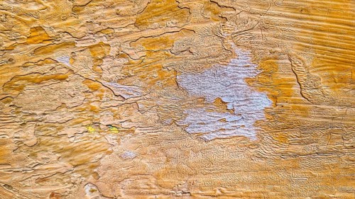 Background, old paint, texture, wood, yellow, uneven surface, mobile photo, wallpaper
