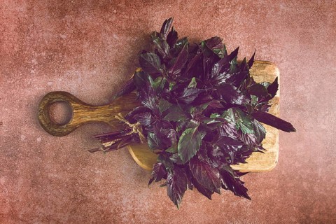 Fresh bouquet of purple basil, top view, on a brown background