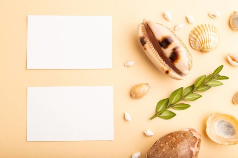 Composition of white paper business cards, seashells, green boxwood. mockup on orange background.