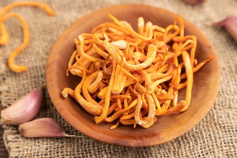 Fresh Cordyceps militaris mushrooms on brown wooden background with microgreen, herbs and spices.