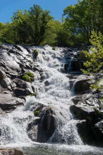 Wild water flows over staggered rocks in the middle of a green forest on a bright summer day,