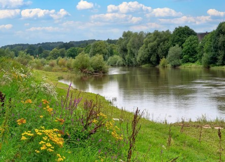 Natural landscape on the Weser Rinteln Germany