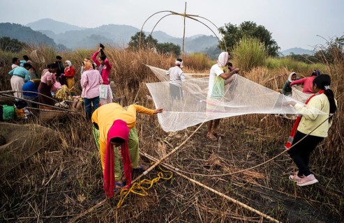 Villagers participate in a community fishing event on the occasion of the Bhogali Bihu festival at