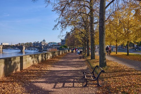 Footpath, Elbe, river, trees, light-flooded autumn foliage, wall, Augustus Bridge, pedestrians as