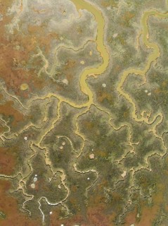 Network of channels and streams at low tide. In the marshland of the Piedras River. Aerial view.