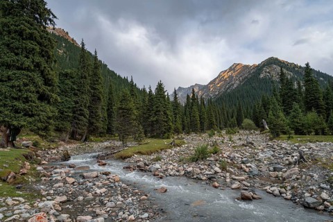 Green mountain valley with forest and mountain stream, Chong Kyzyl Suu Valley, Terskey Ala Too,