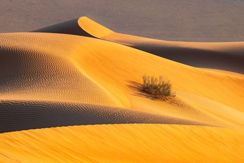 Details of the sand dunes in the Rub Al Khali desert, the world's largest sand desert, Empty