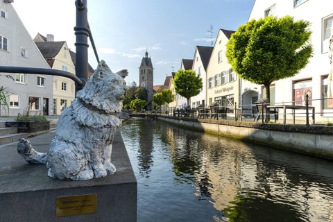Bronze sculpture by Cornelia Brader: City tomcat Chicco at the city stream, behind it Our Lady's