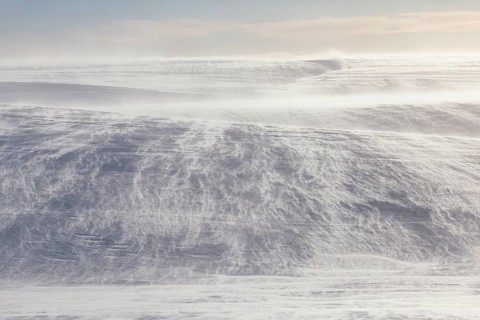 Snowstorm, wind, fjell, sunny, backlight, Varanger Peninsula, Norway, Europe