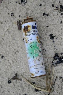 Washed up can of insecticide, Loango National Park, Parc National de Loango, Ogooué-Maritime