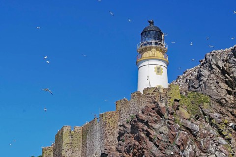 A lighthouse stands on steep cliffs, surrounded by gannets and a clear blue sky, in a sunny