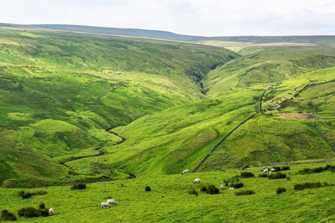 Farms over North Pennines, Cumbria, Durham, Northumberland, North Yorkshire, England, United