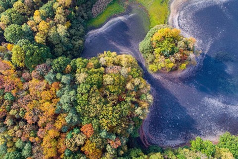 Mixed forest in autumn, colouring, aerial view, forest, autumnal, Ahlhorn fish ponds,