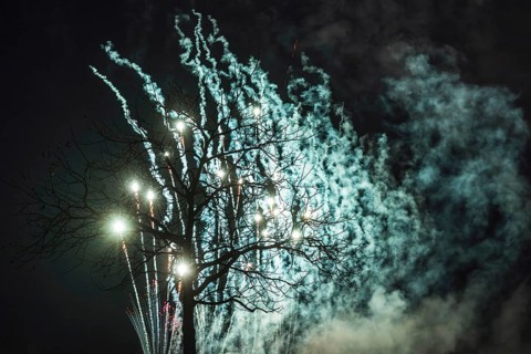 Tree fireworks