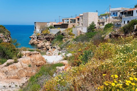 A Mediterranean village on the coast with flowers and rocky landscape, Mezapos, Mani, Peloponnese,