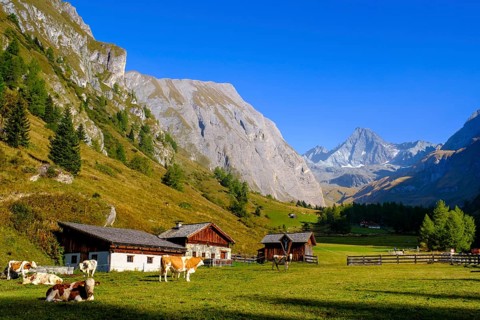 Huteralmen with Großglockner, Hohe Tauern, Ködnitztal, Kals am Großglockner, East Tyrol, Austria,