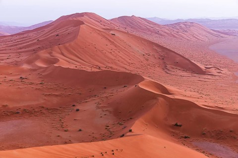 Wind-sculpted, curved, sand dunes in the Rub al Khali desert, Dhofar province, Arabian Peninsula,