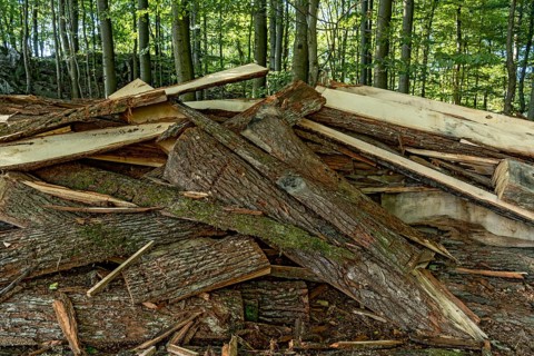 Pile of tree bark, bark, wood from cutting of wooden boards, waste, remains from sawmill, beech