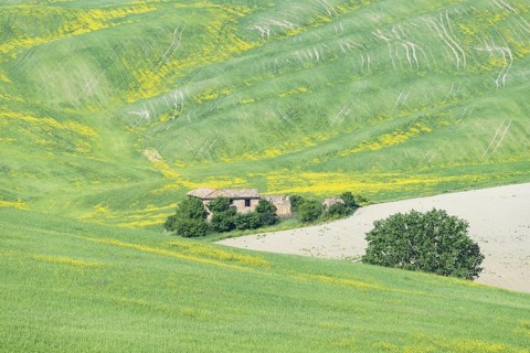 Landscape at sunrise around Pienza, Val d'Orcia, Orcia Valley, UNESCO World Heritage Site, Province