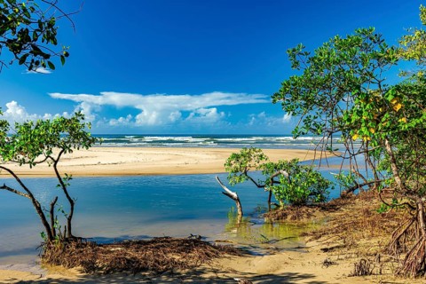 Meeting between the mangrove, river and sea at Sargi beach in Serra Grande on the south coast of