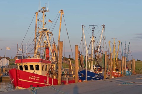 Crab cutter in the harbour, Dorum-Neufeld, Wurster Land, Lower Saxony, Germany, Europe