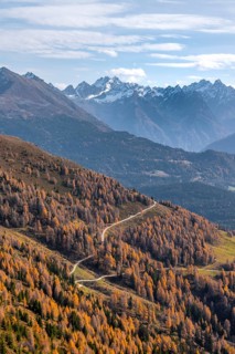 Krahberg on the Venet in autumn with yellow larches, Ötztal Alps, Tyrol, Austria, Europe