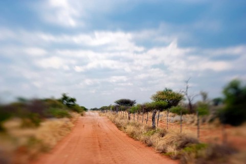 Sand track with red earth, analogue, blurred, blurred, road trip, journey, safari, holiday, nobody,