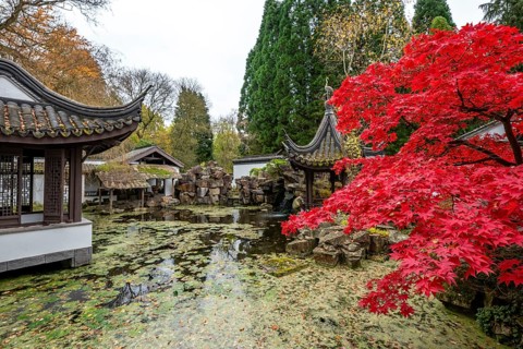 The Botanical Garden of the Ruhr-University Bochum, in the district Bochum-Querenburg, North