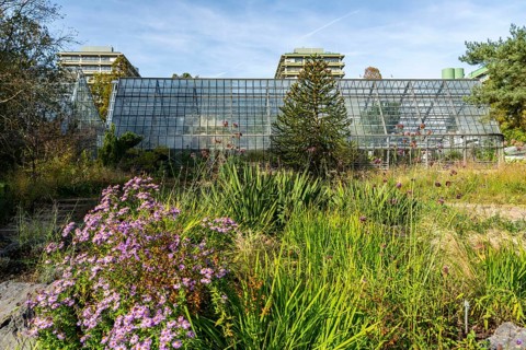 The Botanical Garden of the Ruhr University Bochum, in the district of Bochum-Querenburg, North