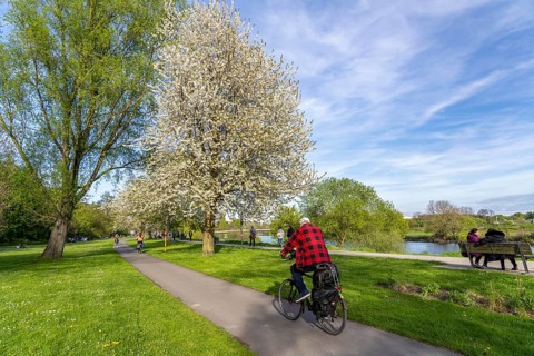 Section of the Ruhr Valley cycle path along the Ruhr, near Essen-Steele, North Rhine-Westphalia,